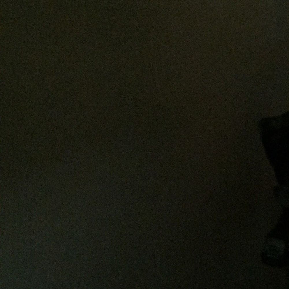 Meet your Posher, Cooper